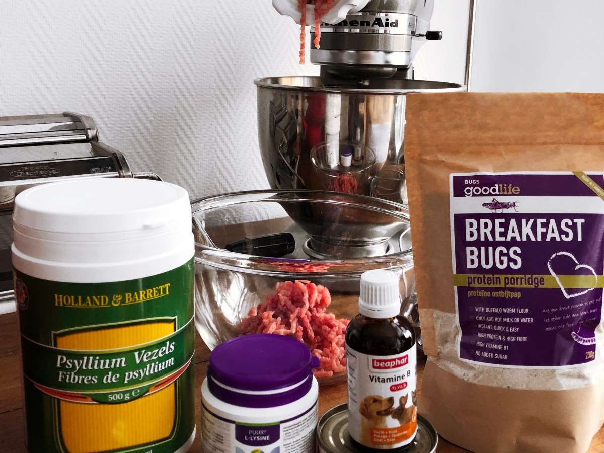 Going RAW: Yay or&nbsp;Nay?