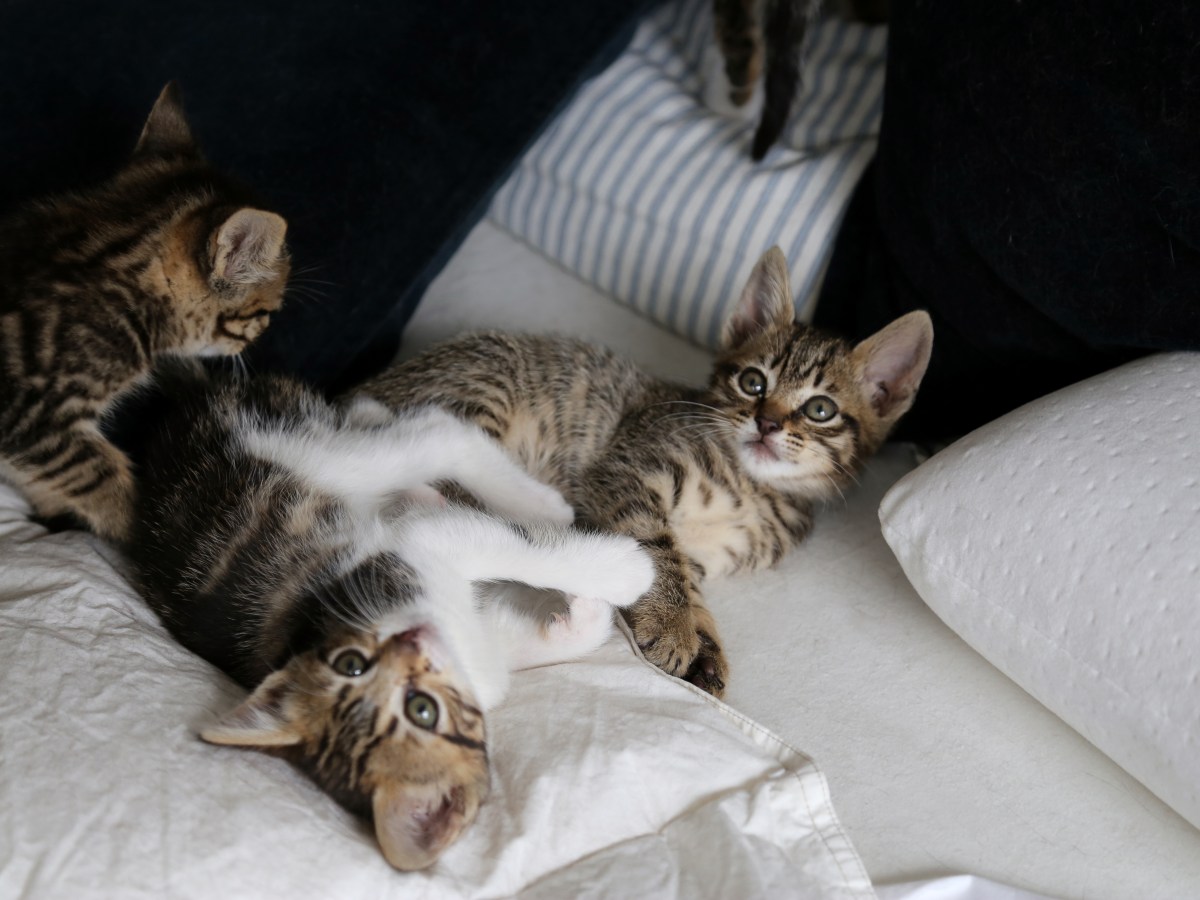 And so I’m back in&nbsp;Spain…